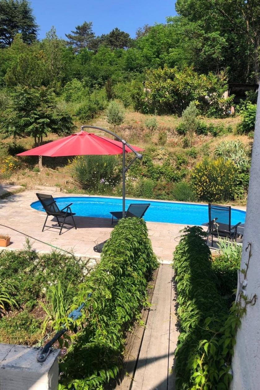 Villa Les Terrasses Dans La Nature Avec Piscine A 2 Pas De Lyon, Metro A 15Mn A Pied Pour Lyon Centre En 10Mn Ou Bus A 300M Pour Lyon Centre Уллен Экстерьер фото